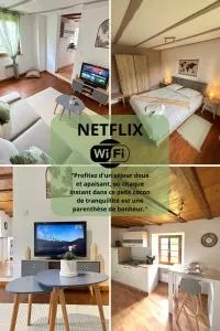 Cocon du Vignoble - 安热尔桑