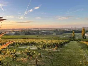 Maison de caractère au cœur des vignes - Néac