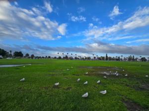Residence on Langley Park