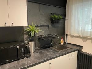 center 1 bdrm apt with terrace