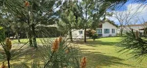 Brimborion - 米米藏