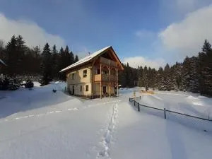 Ferienhaus - Springstille