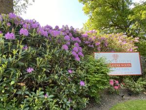 Callander Woods Holiday Park