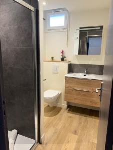 Appartements Cocon de Albertville : photos des chambres