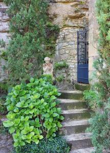 La Treille, maison de charme au coeur de Beynac