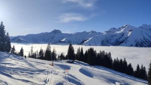 1,5 Zimmer Ferienwohnung Lindenmatte Frutigen Berner Oberland