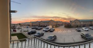 Cosmopolis - Anturium Studio