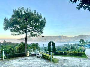 FreshBloom View เขาค้อ Blue House