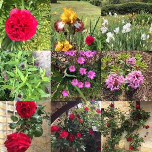 Appartements Ash Fountain Gardens : photos des chambres