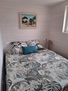 Gruissan chalet authentique 50m de la plage