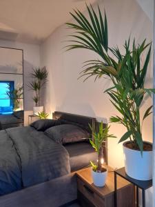 Maisons d'hotes Suite de luxe avec Spa : photos des chambres