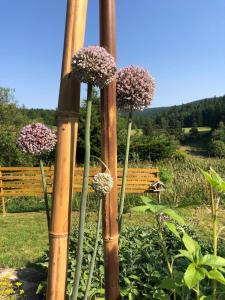 Maisons de vacances Gite bien-etre Balneo Sauna a usage privatif : photos des chambres