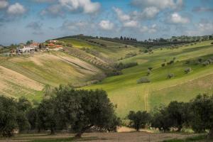 Apartment Casa Norina