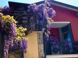 La Casa del Glicine Tarzo