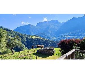 Chalets Le Mazot du Genevrier - Au coeur des Aravis : photos des chambres