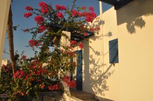 Villa Anna Paros Greece