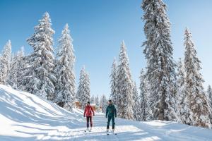 Appartements by Hotel-Garni Austria