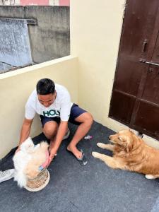 Pink City Backpackers