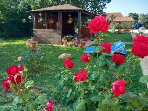 Casa Vacanze La Farfalla di Vittori Fabiola - San Giovanni delle Contee