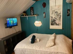 Maisons d'hotes Maison de ski et randonnee : photos des chambres