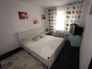 Квартира по вул Ніженська 29г - Posëlok Chokolovka