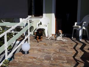 Apartment Schlickendorf 110 m für 4 Personen komplett ausgestattet