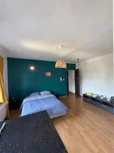 TORINO - Appartement cozy - 萨尔堡
