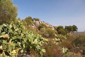 Casa Marina Maria img68