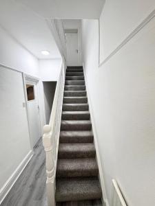 Serene Suite Rooms 1 - 5