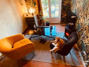 Sejours chez l'habitant Chambre hotes : photos des chambres