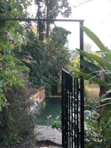 Into The Wild Pokhara