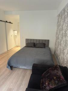 Spacious Riviera Studio