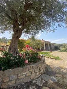 Villa Russo - 卡尔塔尼塞塔