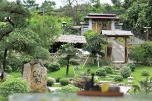 Vipassana Ba Vì Retreat - بافي