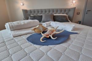 B&B Luci della Collina Boutique Relax