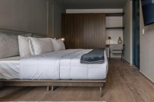 Indigo Veracruz Roma Nte Apt 1B I 1B