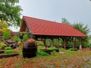 Unique Farmstay Experience - Domačija Šraj - Zgornja Velka