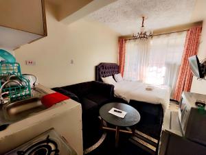Traveler's Staycation II - Apartmány, Rungiri