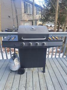 Fun Home in Pocono with Gameroom-Firpit-BBQ Grill-TV and AC inrooms