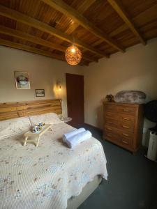 Loft aconchegante próx ao Quitandinha - Green Loft