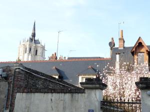 Maisons de vacances Le Passage du Roi, maison de ville, jardin et garage au coeur d-Amboise : photos des chambres