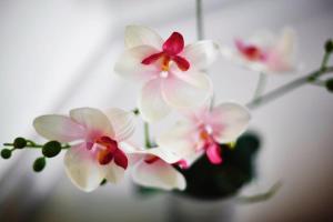 Cozy and Stylish with A-C in City Center!