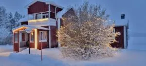 Wild Power Guesthouse - Vindeln