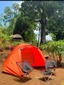 Joe Nature Camp - Lumajang