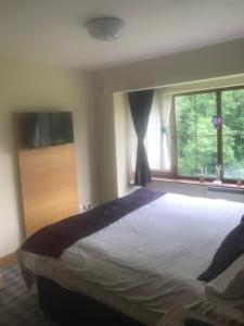 Lodge on Grounds of Ballykisteen Golf Resort