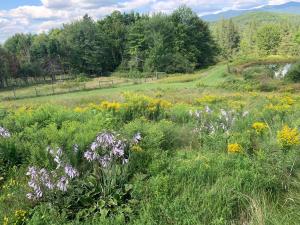 Charming barn loft -amenities on 60 acre farm in the White Mountains of NH