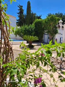 Un petit coin de paradis à Casa Bébé