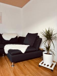 Ferienwohnung Dreiflüsse