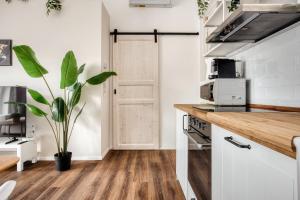 Appartamento con 1 Camera da Letto