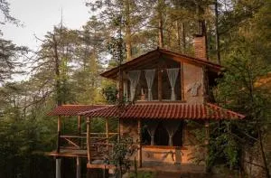 Cedro B - 小米内拉尔